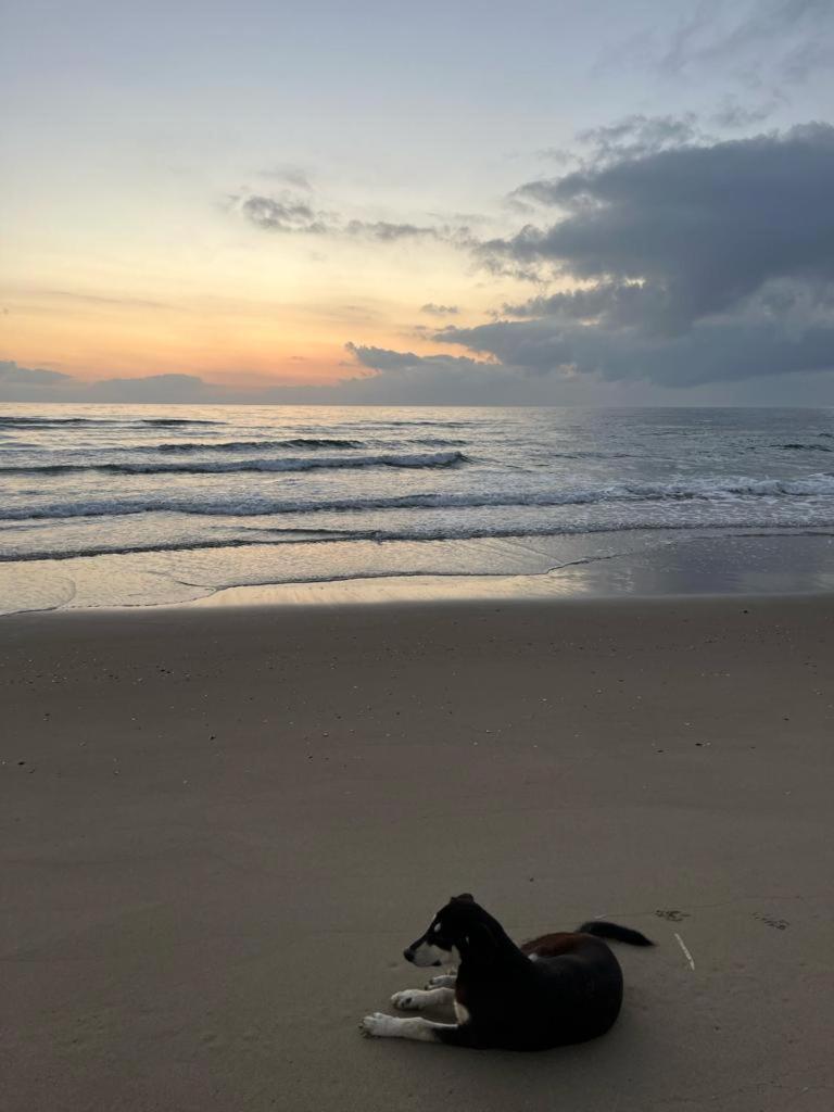Cabo Dream Vacances Appartement